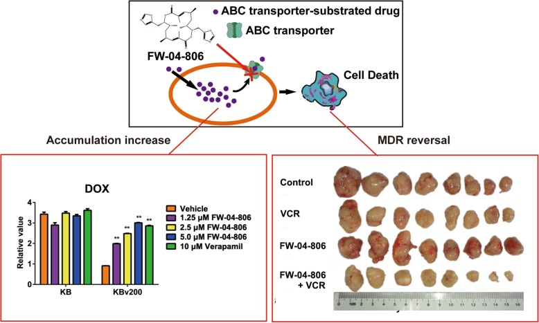 graphic file with name 12964_2019_408_Figa_HTML.jpg