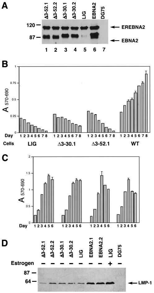 FIG. 6.