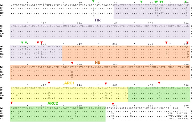 Figure 1.