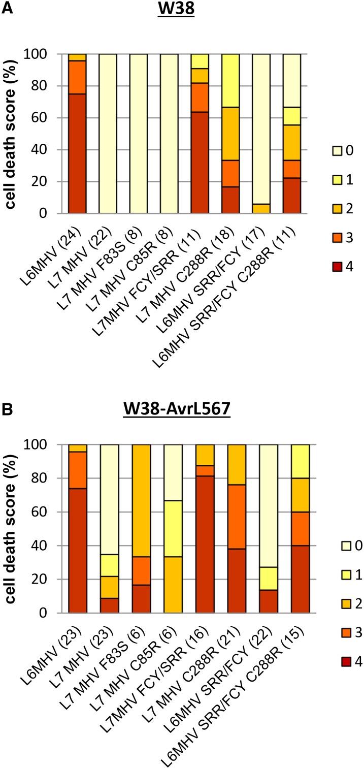 Figure 5.