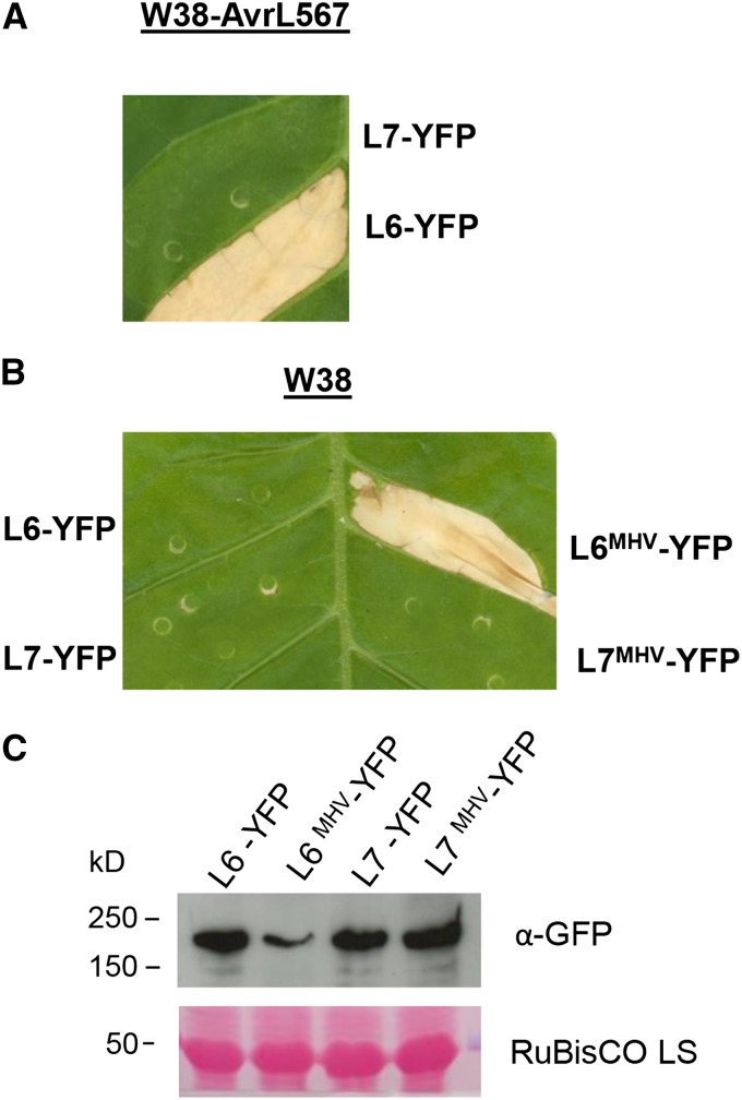 Figure 3.