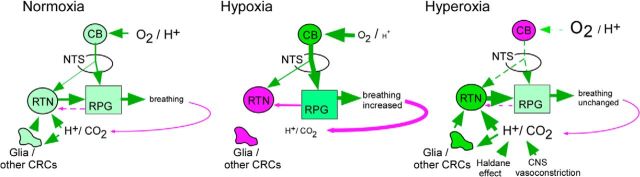 Figure 12.