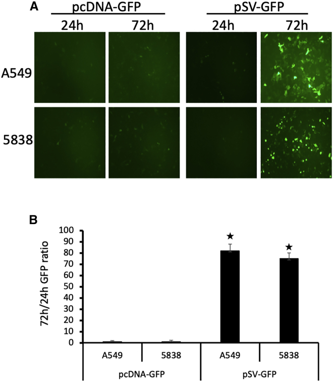 Figure 2