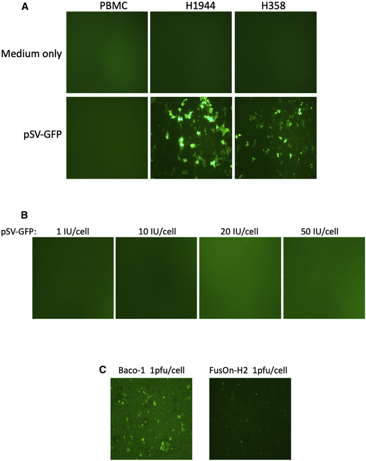 Figure 3