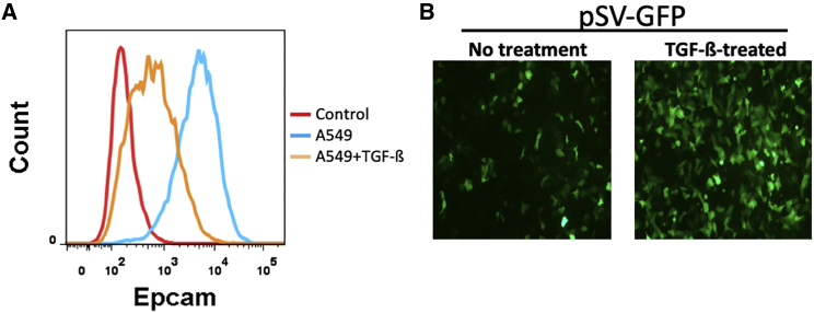 Figure 5