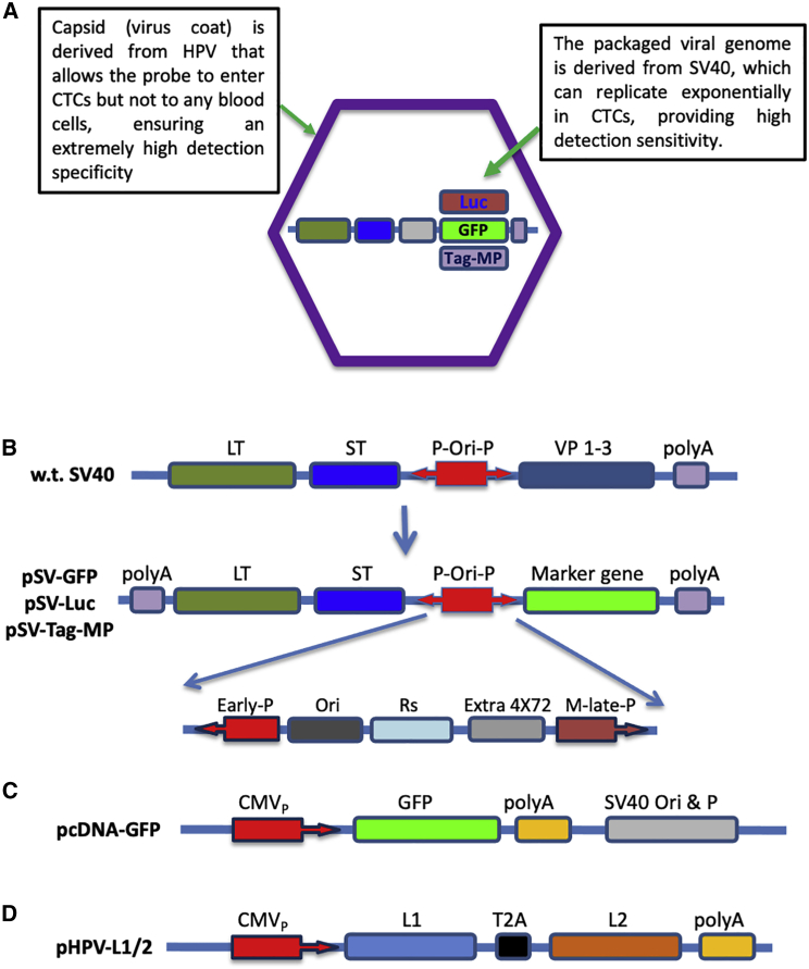 Figure 1