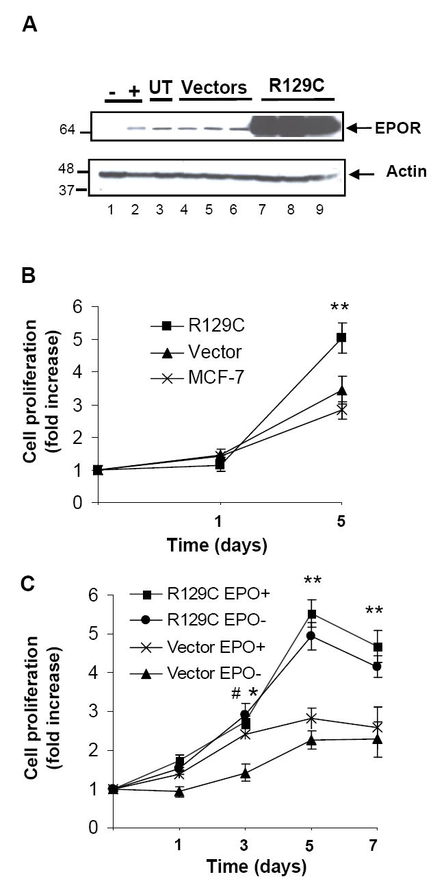 Fig.1