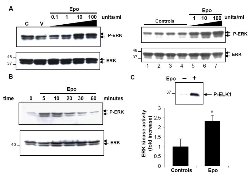 Fig.2