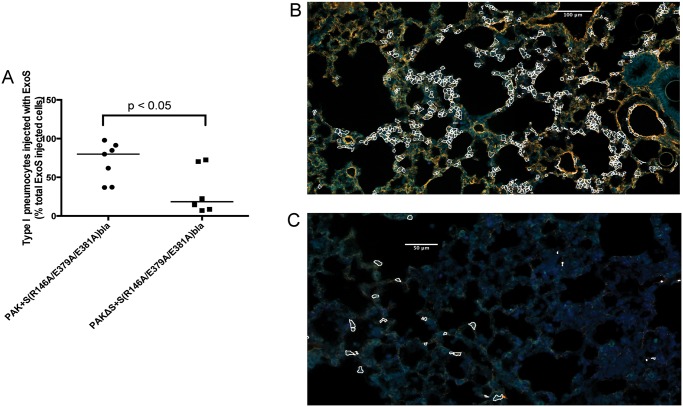 Fig 7