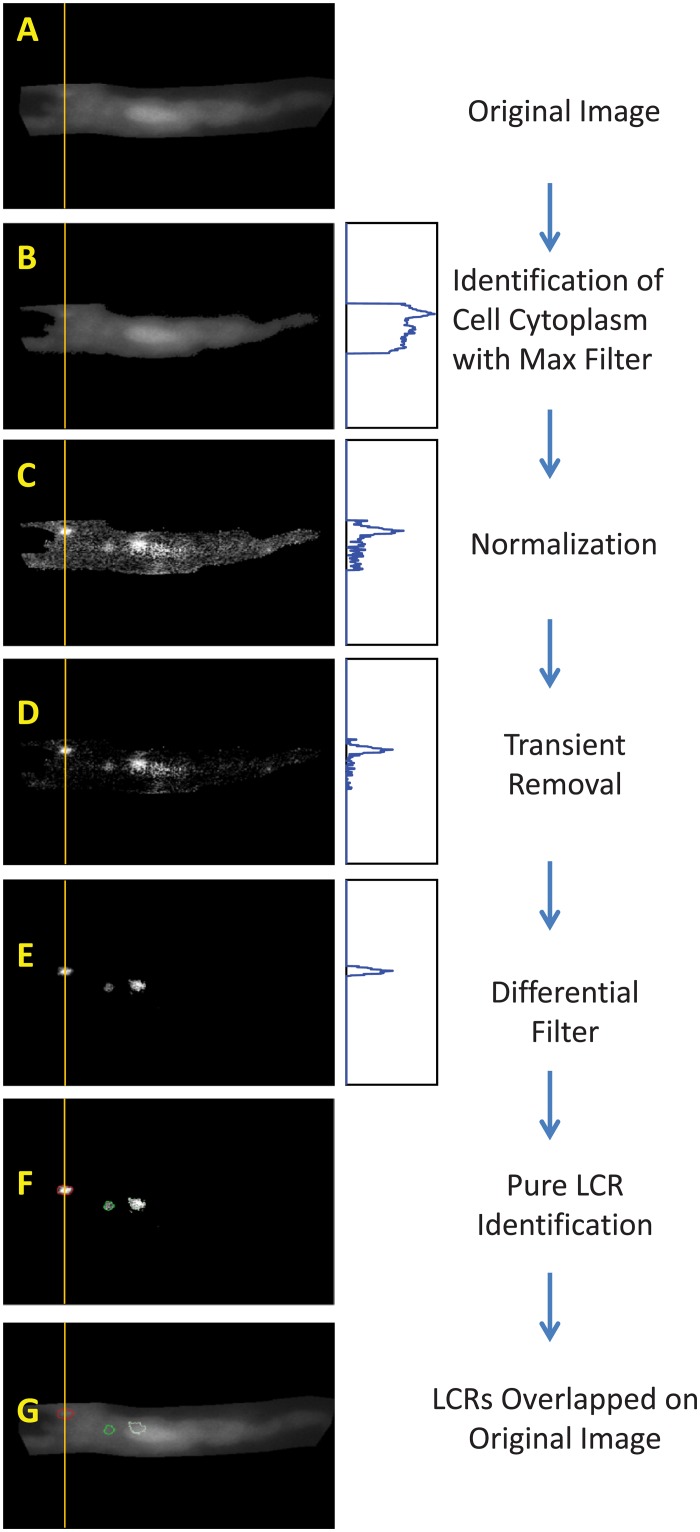 Fig 3