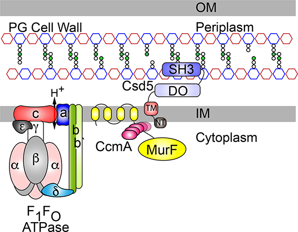 Fig. 7.