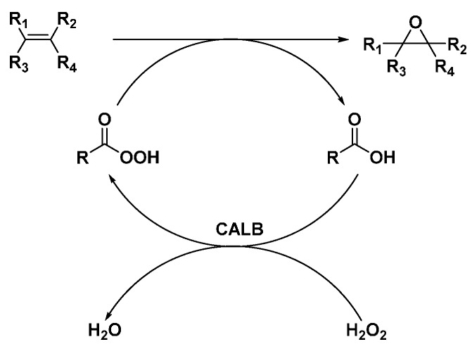 Scheme 6