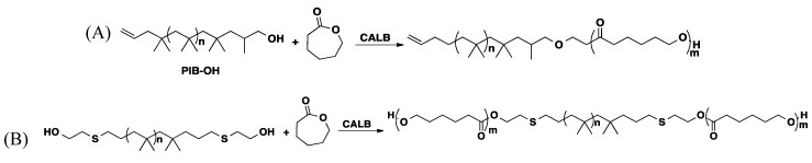 Scheme 12