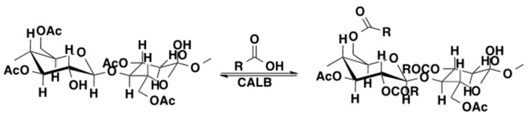 Scheme 13