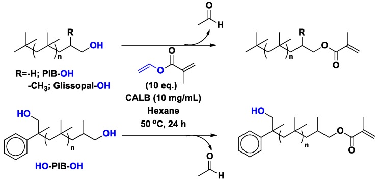 Scheme 16