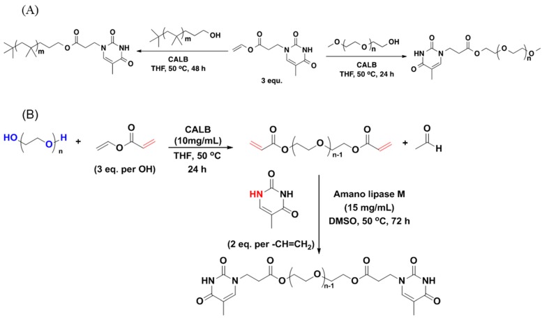 Scheme 9