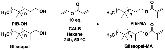 Scheme 10