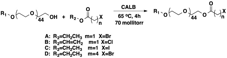 Scheme 8