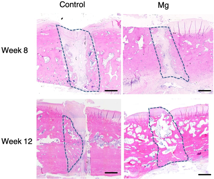 Fig. 6