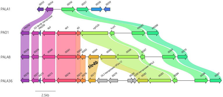 Figure 7