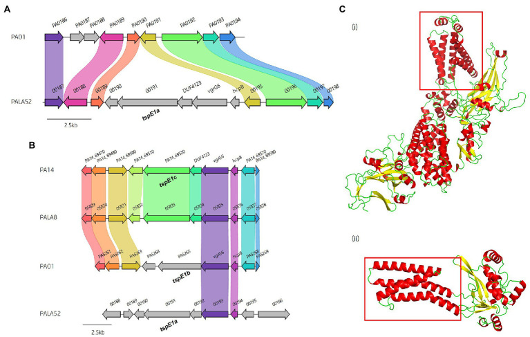 Figure 13