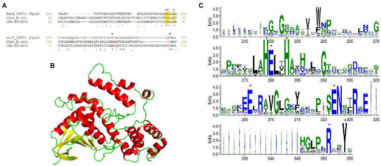 Figure 12