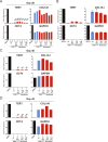 Figure 3—figure supplement 2.