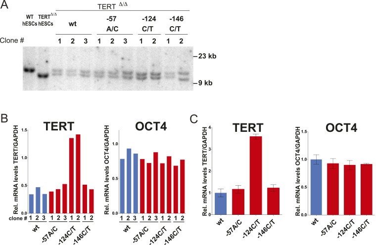 Figure 1—figure supplement 3.