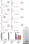 Figure 3—figure supplement 1.