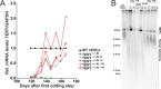 Figure 1—figure supplement 2.