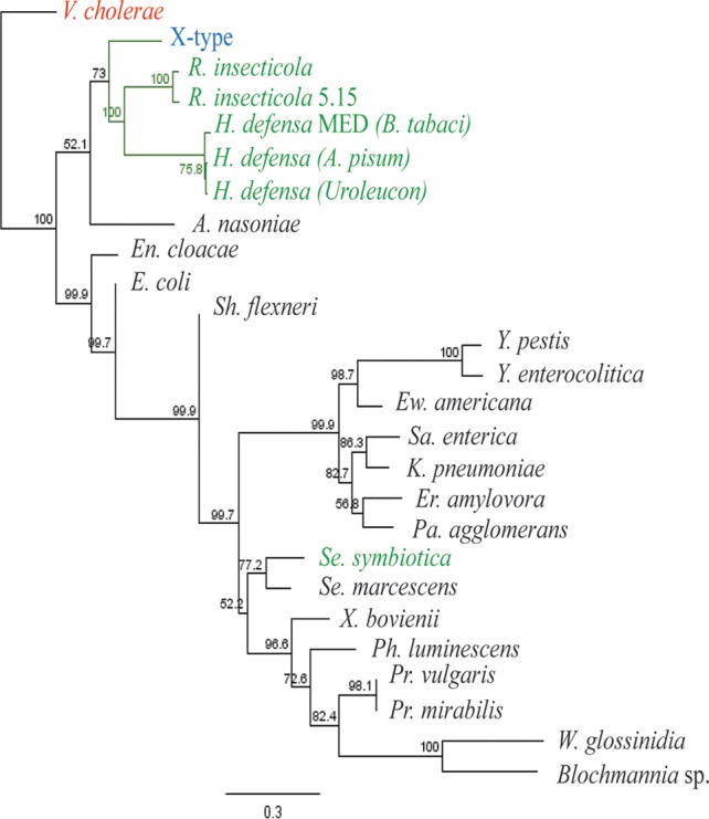 FIG 7