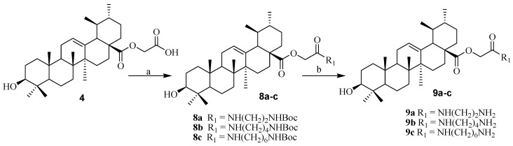 Scheme 2