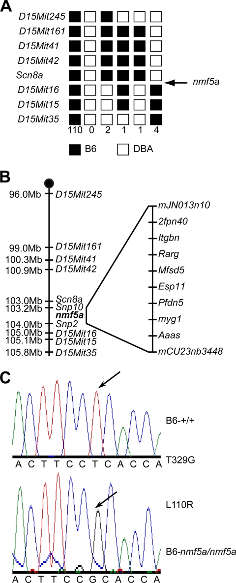 FIGURE 1.