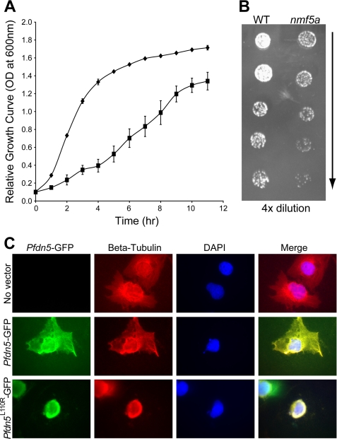 FIGURE 6.