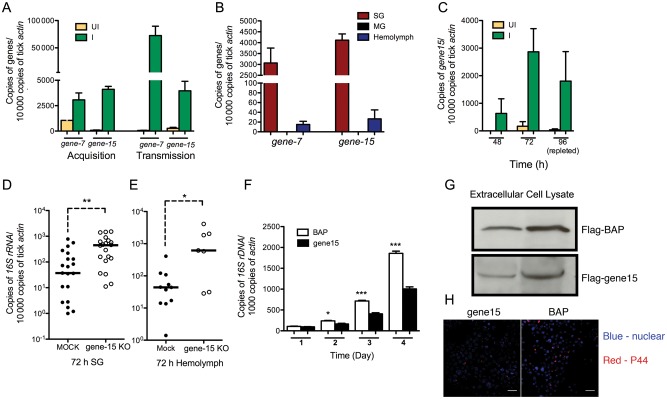 Figure 2.