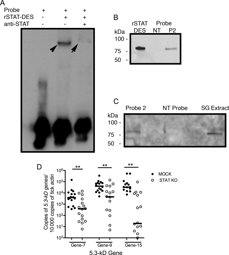 Figure 4.