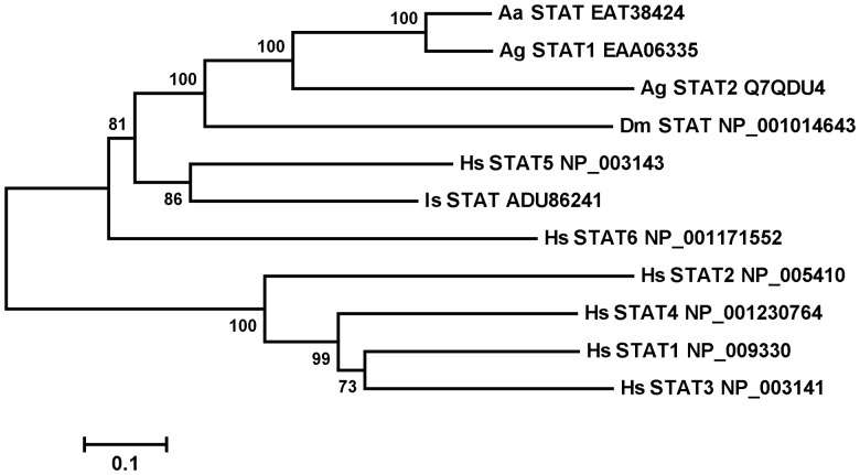 Figure 5.