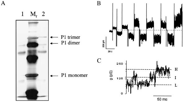 FIG. 8.