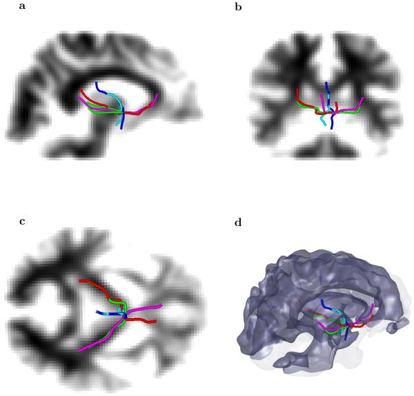 Fig. 8