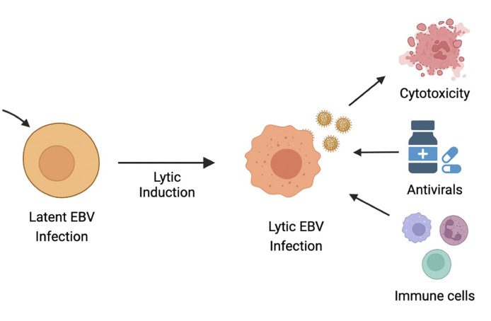 Figure 4