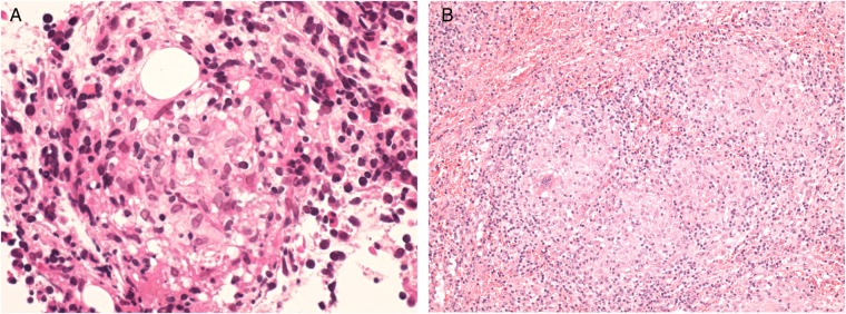 Figure 1