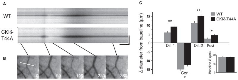 Fig. 5