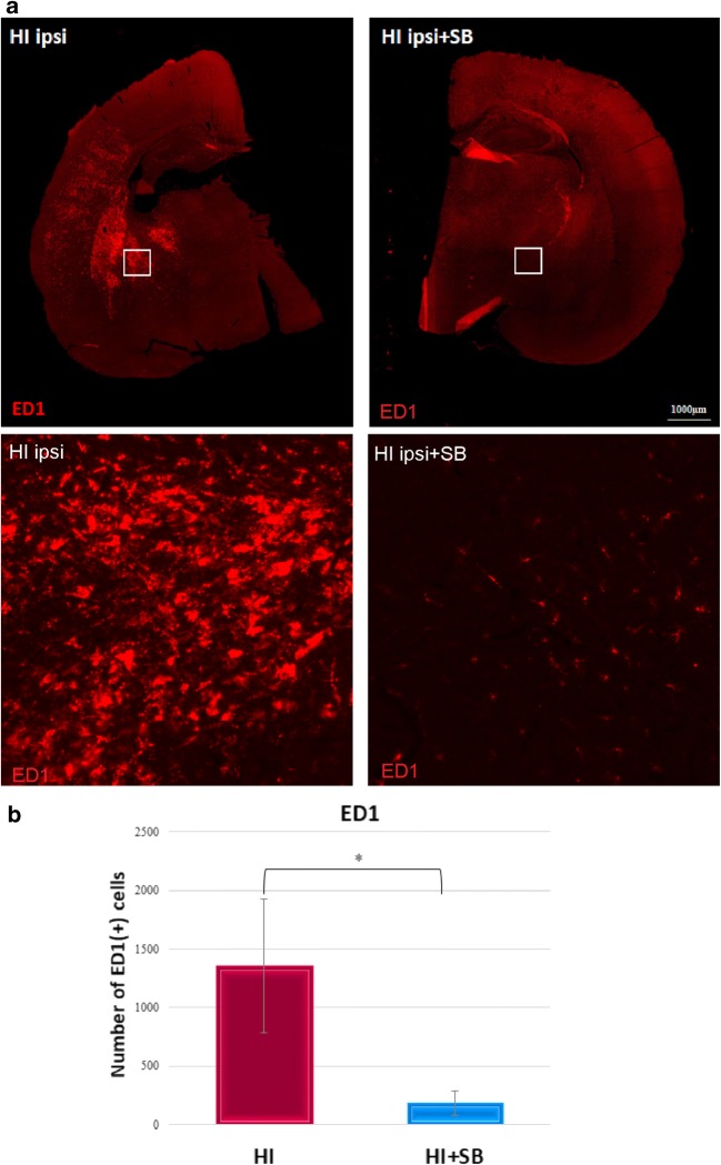 Fig. 12