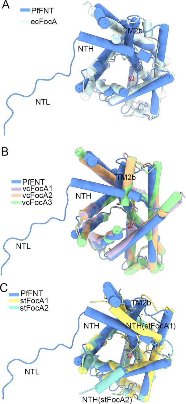 Fig 6