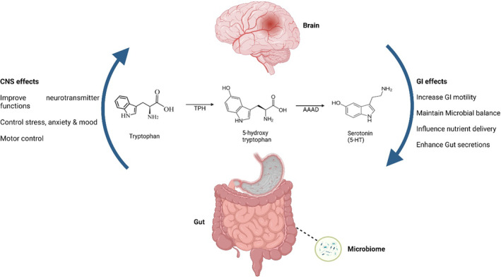 FIGURE 1