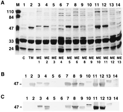 FIG. 3