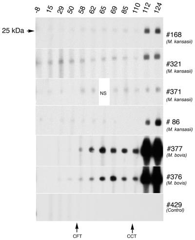 FIG. 5.