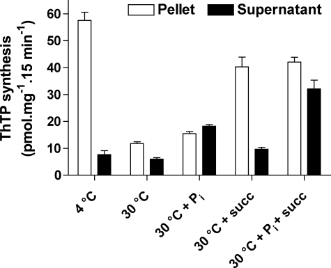 FIGURE 11.