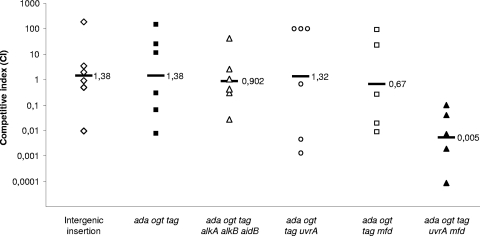 FIG. 2.