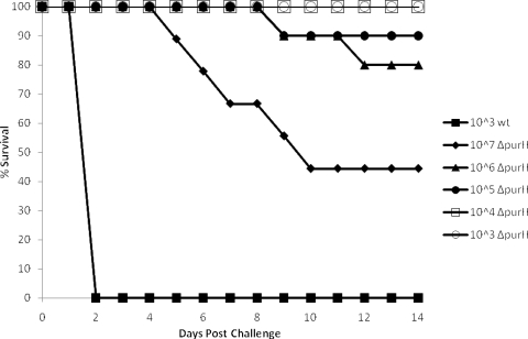 FIG. 7.